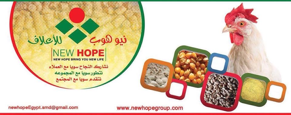 شركة نيو هوب ايجبت ليمتد للاعلاف